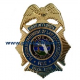 FDLE BADGE