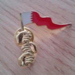 National Flag Pin